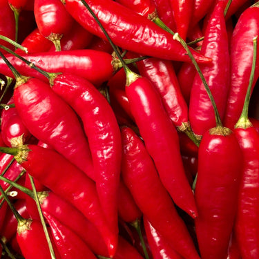 Aji Omnicolor Pepper Seeds - The Pepper Pantry (Formerly Marie Sharp's)